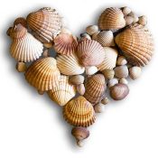 CraftSq-HeartShells-image
