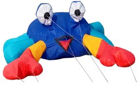 Crab Kite